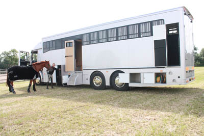 Build Horseboxes                                                                                    